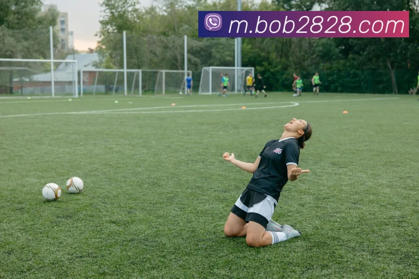 bob半岛体育官网平台品牌故事