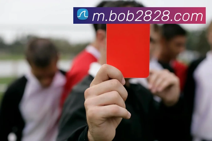 bob半岛体育官网平台服务体系